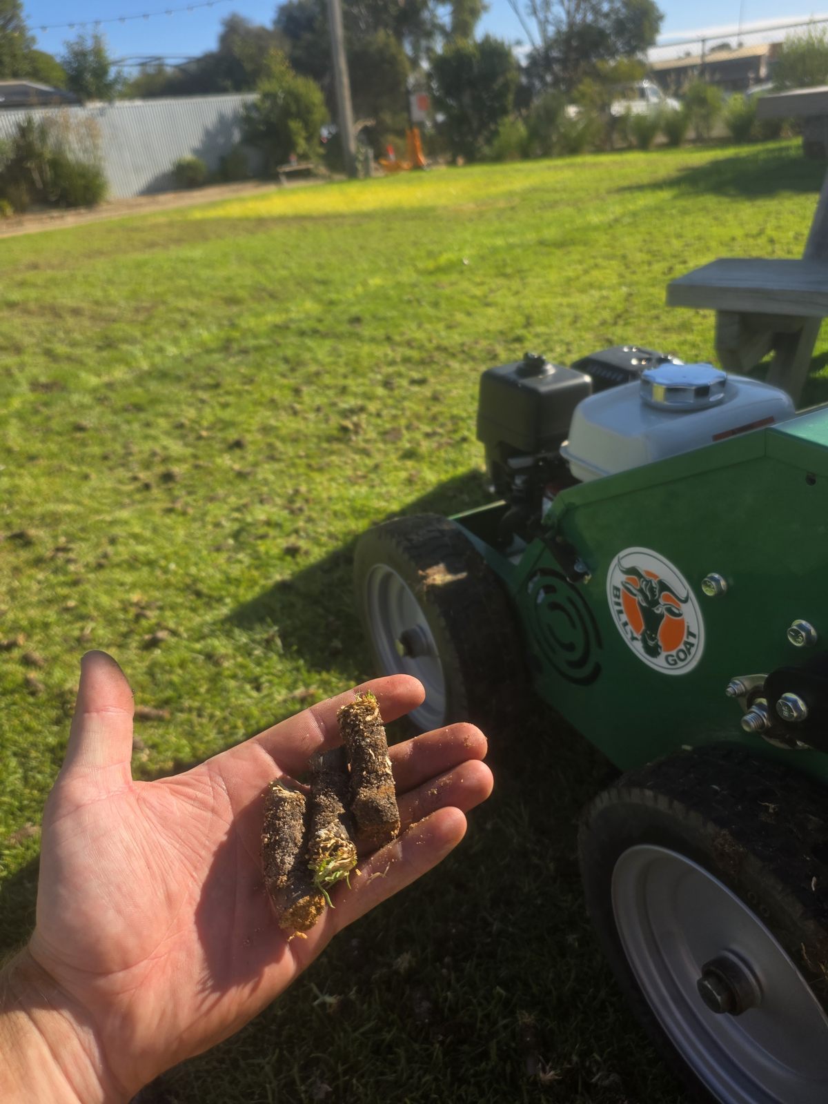 Lawn renovations in Willunga