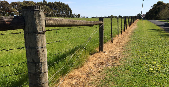 Vacant and investment land