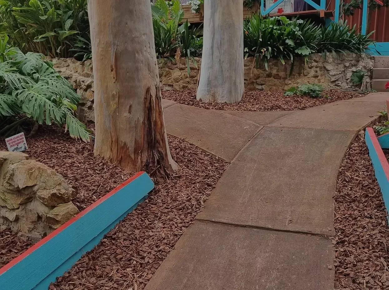 Planting and mulching Aldinga Beach