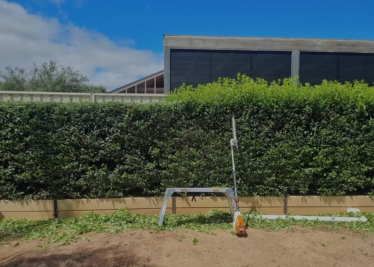 Hedge trim and garden tidy McLaren Vale