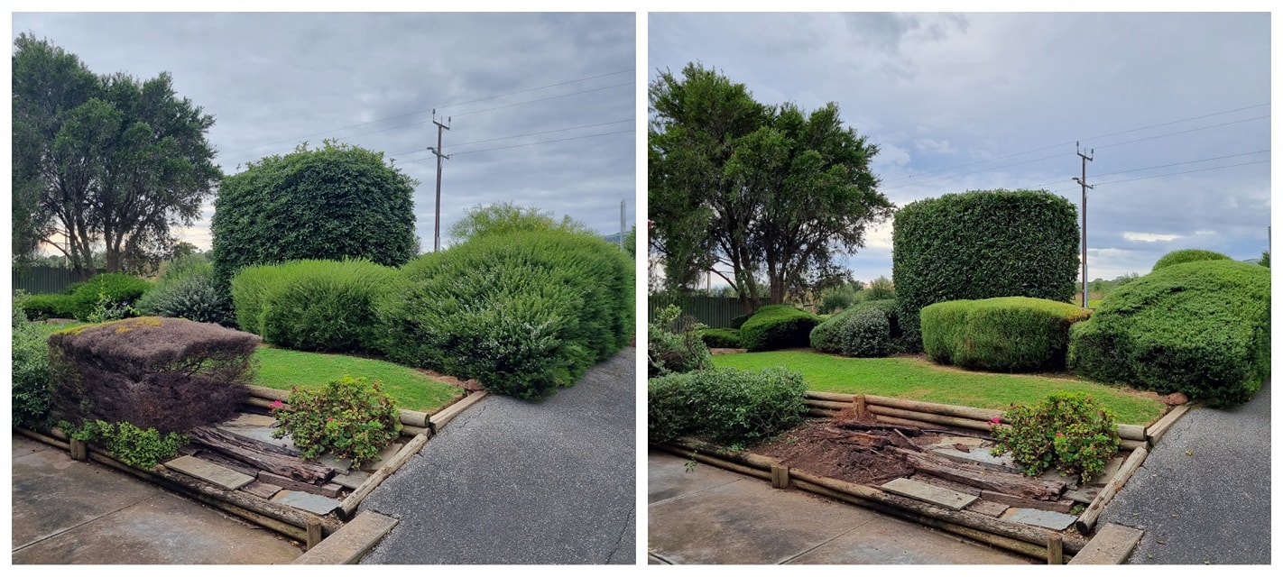 Gardening and pruning McLaren Vale