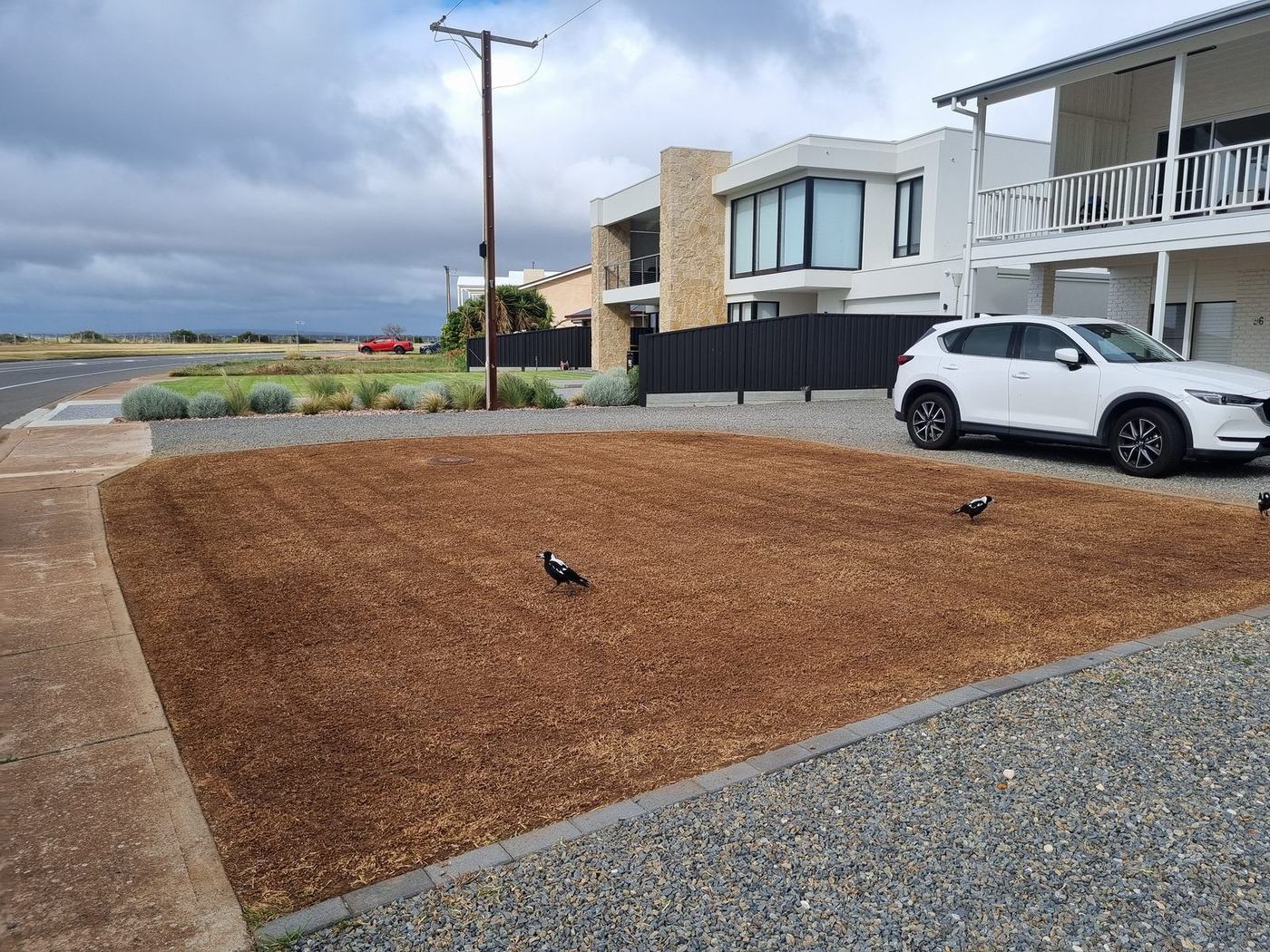 Post-summer topdressing Sellicks Beach