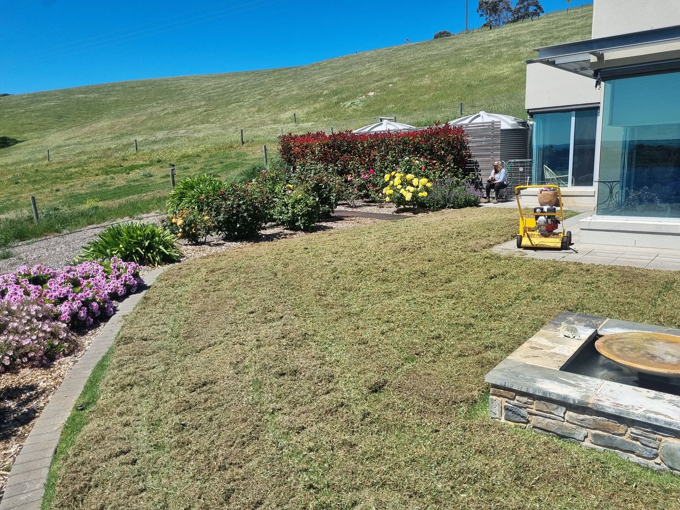 Scarifying and dethatching McLaren Vale