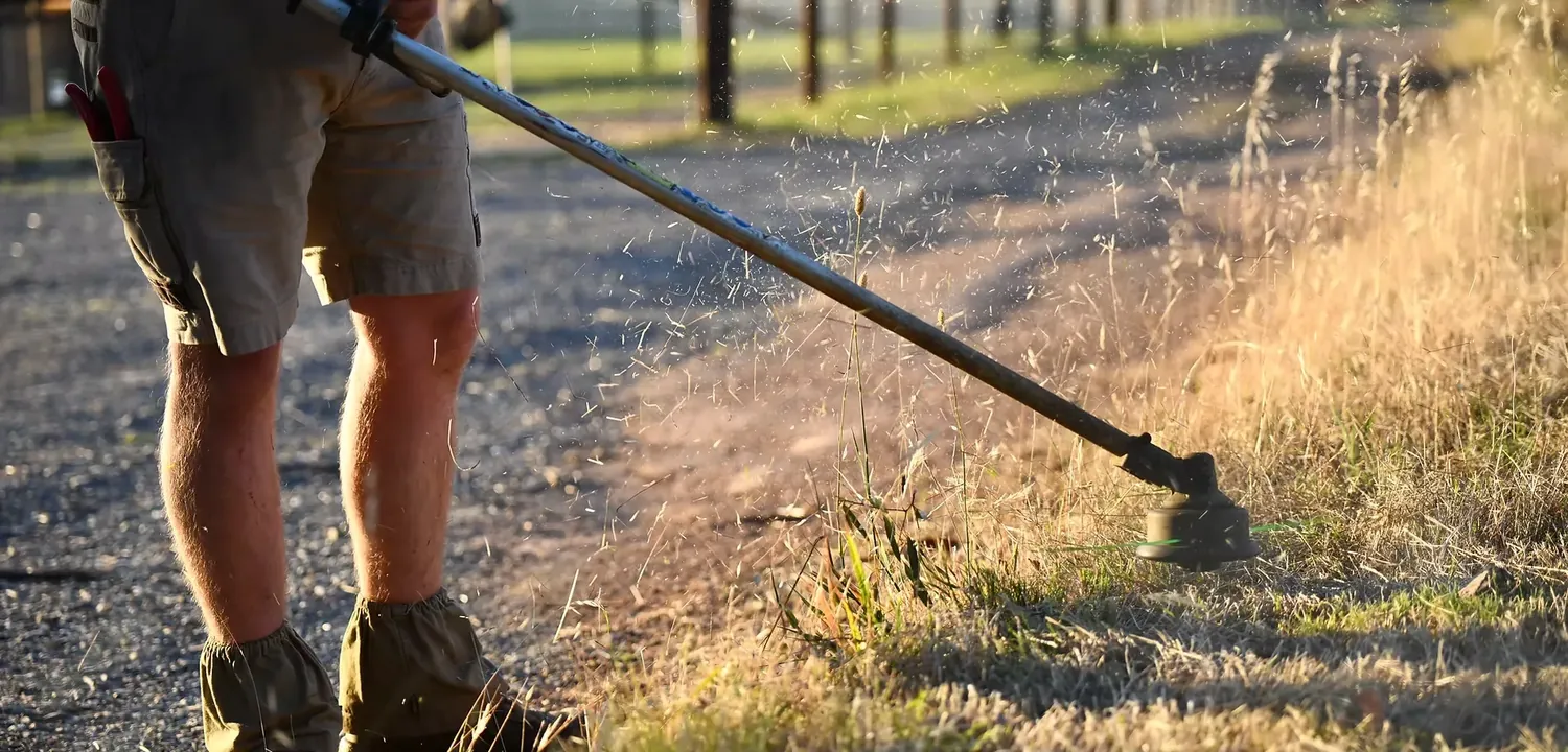 Weed control and block slashing Fleurieu Peninsula
